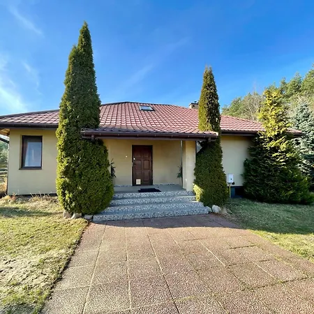 Forest W Poblizu Suntago *