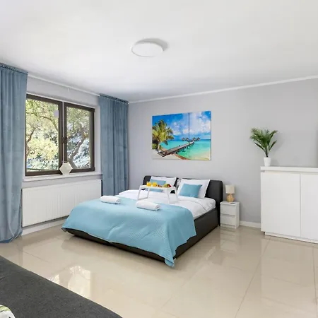 Forest W Pobliżu Suntago Willa Krzyzowka (Zyrardow)