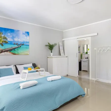 Forest W Poblizu Suntago