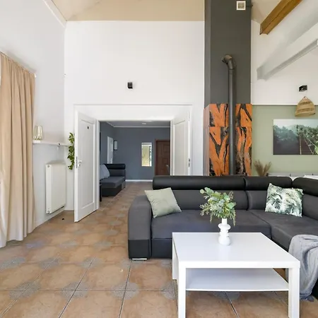 Forest W Poblizu Suntago *