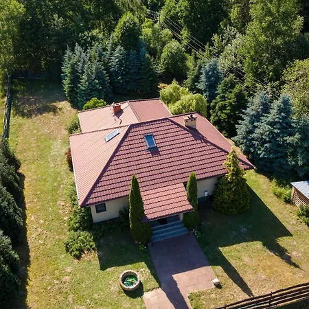 Forest W Poblizu Suntago Krzyzowka (Zyrardow)