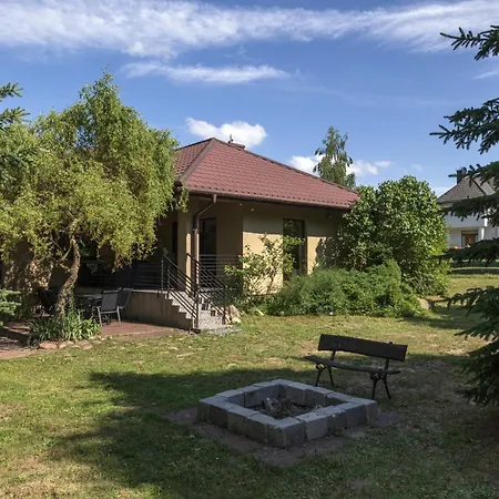 Forest W Poblizu Suntago * Krzyzowka (Zyrardow)