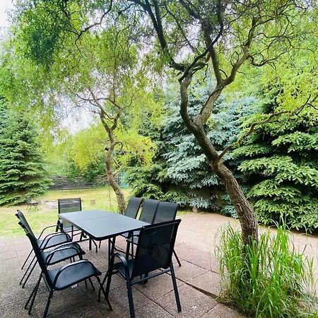 Forest W Poblizu Suntago Krzyzowka (Zyrardow)