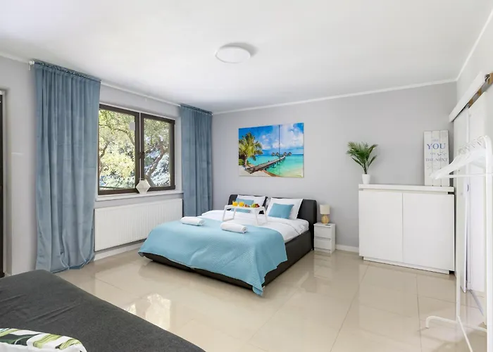 Forest W Pobliżu Suntago Willa Krzyzowka (Zyrardow)