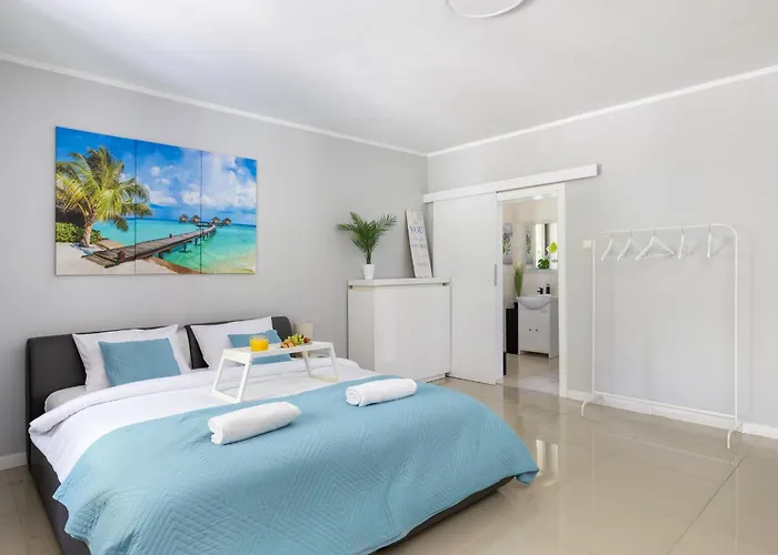 Forest W Poblizu Suntago