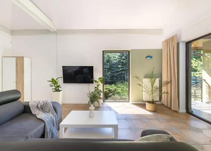 Forest W Pobliżu Suntago *