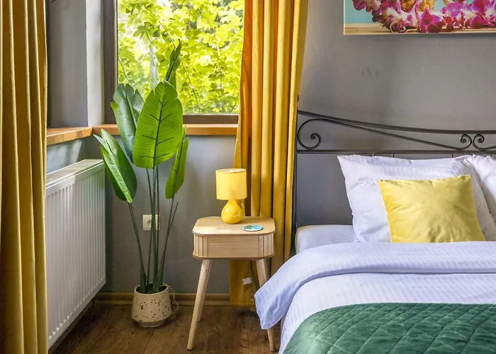 Forest W Poblizu Suntago * Krzyzowka (Zyrardow)