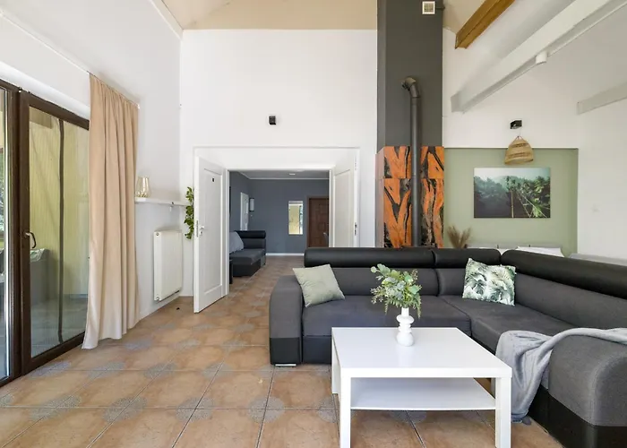 Forest W Pobliżu Suntago *