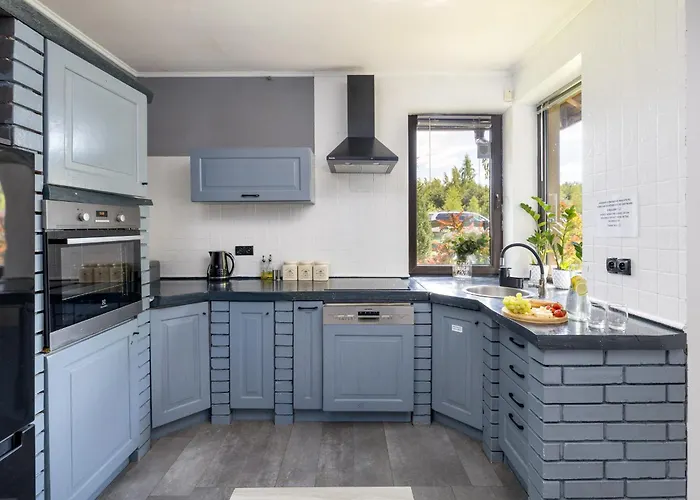 Forest W Pobliżu Suntago *