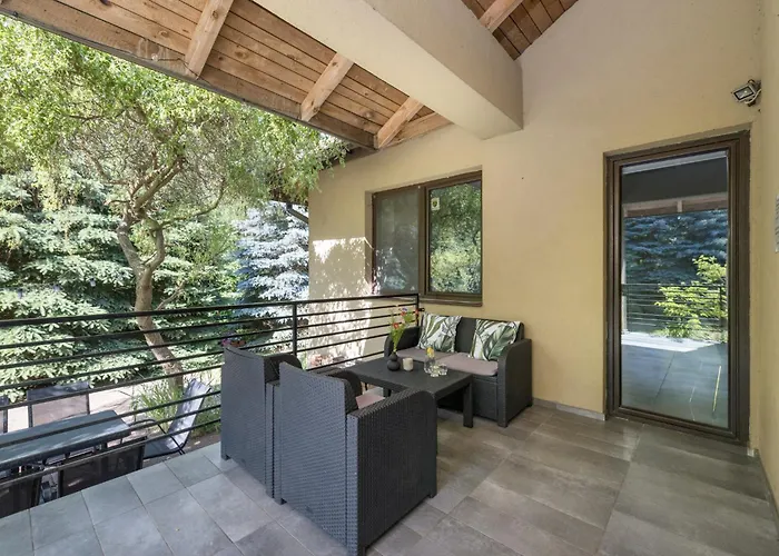 Forest W Poblizu Suntago Krzyzowka (Zyrardow)