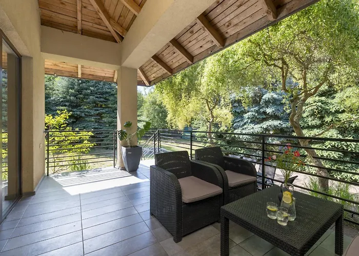 Forest W Pobliżu Suntago Willa *