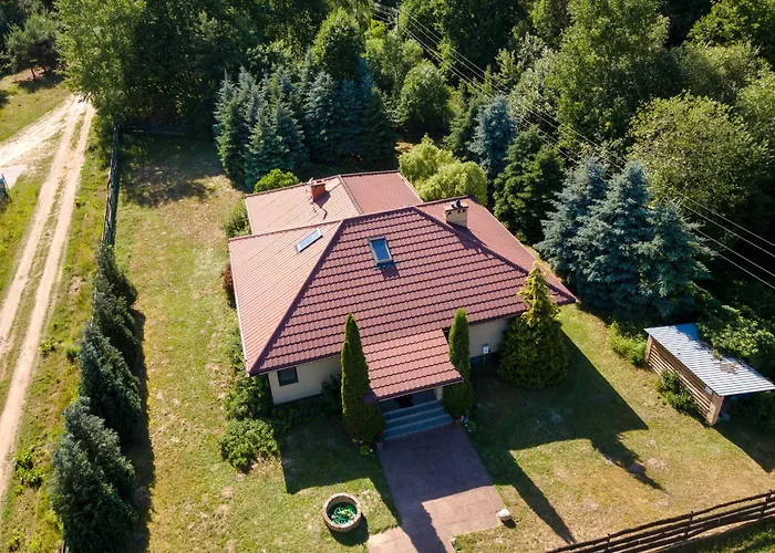 Forest W Pobliżu Suntago Krzyzowka (Zyrardow)