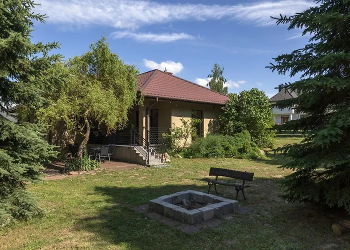 Forest W Poblizu Suntago * Krzyzowka (Zyrardow)