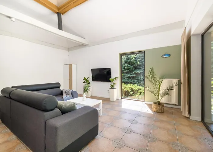 Forest W Pobliżu Suntago