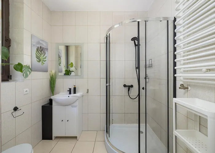 Forest W Poblizu Suntago *