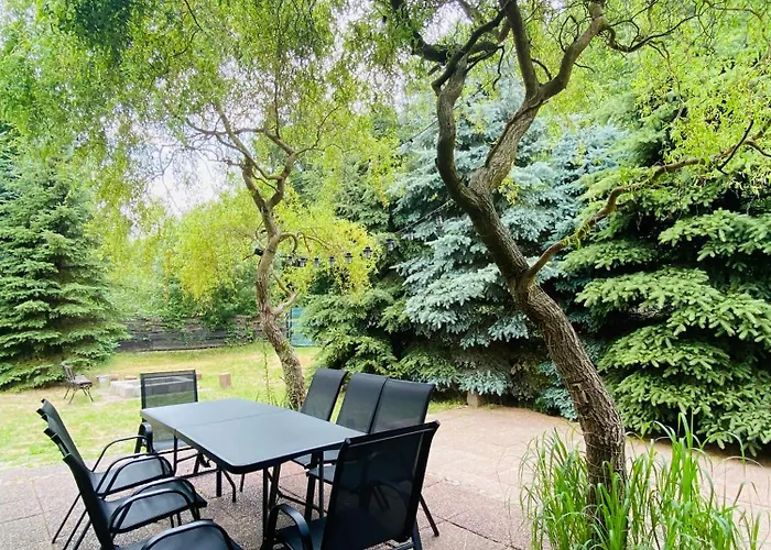 Forest W Pobliżu Suntago Krzyzowka (Zyrardow)